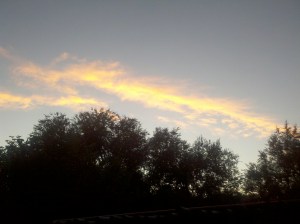 2010-09-08_19-31-15_254 Dawn