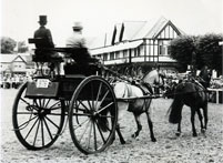 Regency Vehicles Private Carraiges of the English Regency | Shannon Donnelly's Fresh Ink
