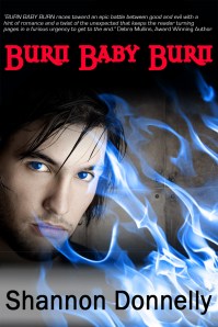 BBB_final Burn Baby Burn