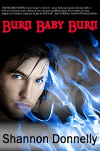 BBB_final_300x200 Burn Baby Burn