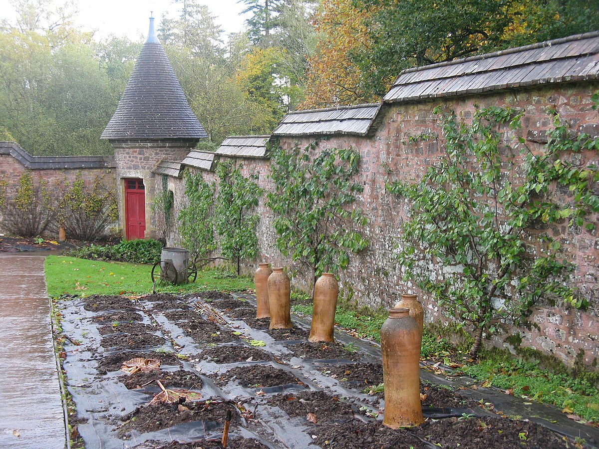 Four clay pots on dirt near a garden wall