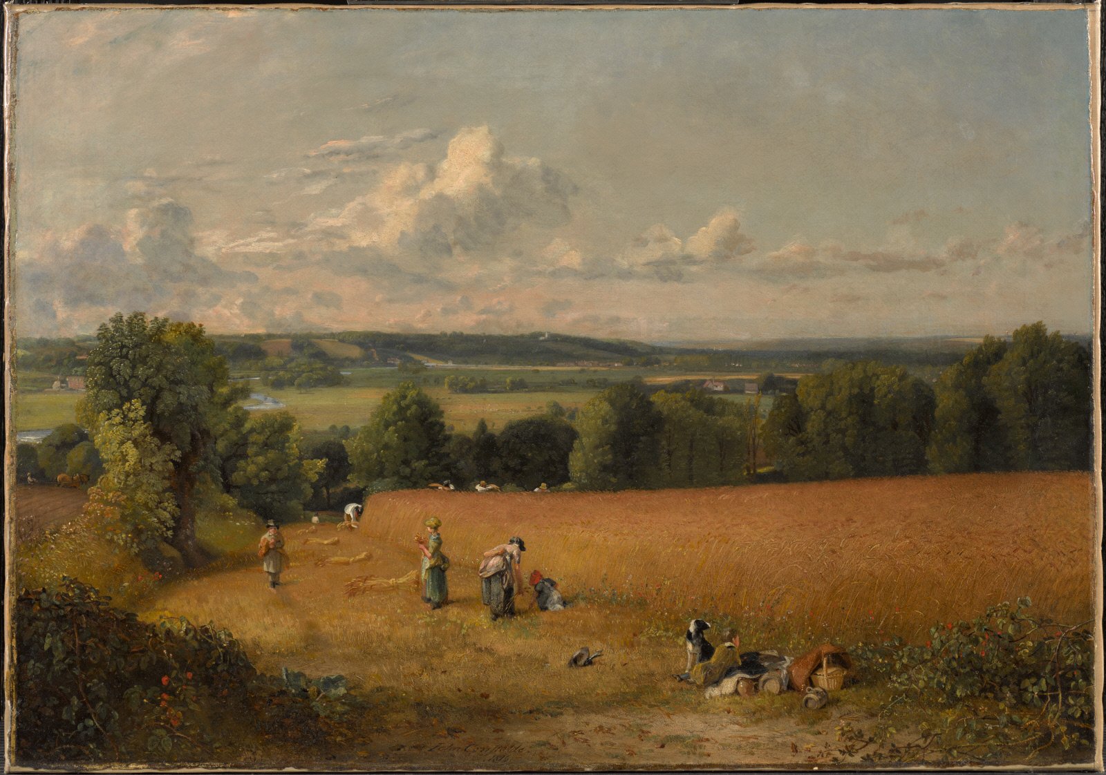 “I live almost wholly in the fields and see nobody but the harvest men,” wrote Constable to his fiancée in August 1815. That summer, working primarily outdoors, he painted The Wheat Field, a view across a valley in his native Suffolk. Plowmen cut down the golden wheat, reapers bundle the stalks, and gleaners collect leftover grains, while a boy and his dog guard lunch.